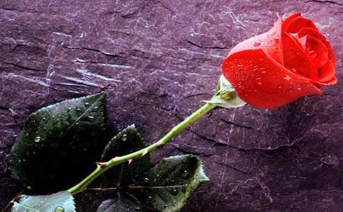 �eί����õ����x����