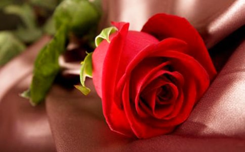 �P(gu��n)��õ����i�Z