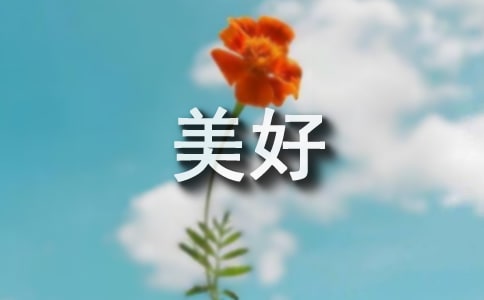 ���õ����
