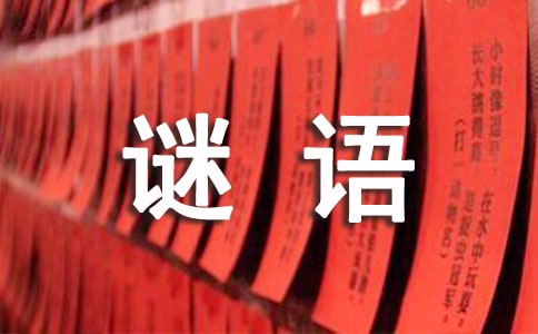 �P(gu��n)�ڵ����i�Z(y��)