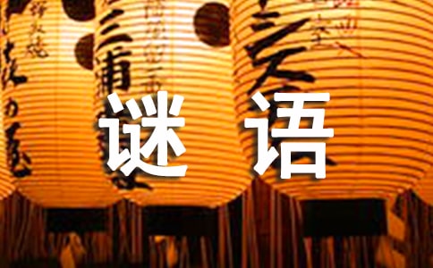 �P�ڝh�ֵ��i�Z440��