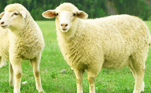 �L���ľd�����ģ����x10ƪ��