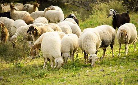 �d���׷��