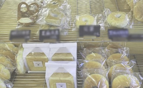 �i�����������