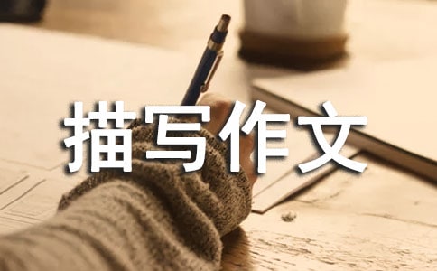 ���꼉(j��)������ò�茑���Ľ̰�