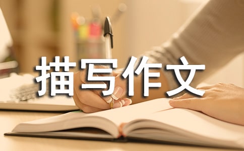 �P�ڳ��������茑����6ƪ