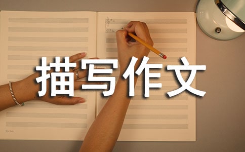 ���������茑���ļ��\8ƪ