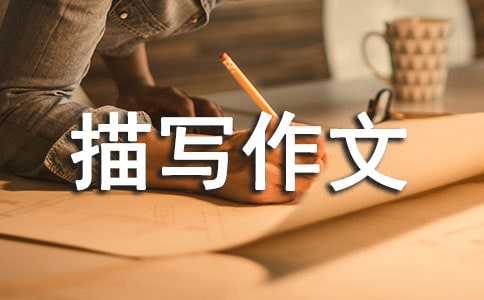 ���������茑�����زģ�ͨ��21ƪ��