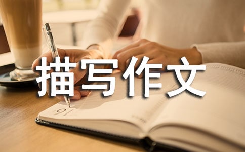 ��(sh��)�õĳ��������茑����4ƪ