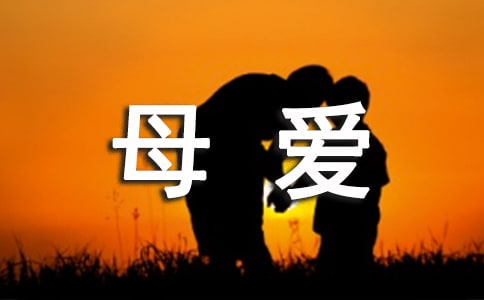 ĸ��(��i)�ĬF(xi��n)��Ԋ(sh��)15ƪ����(sh��)�á�