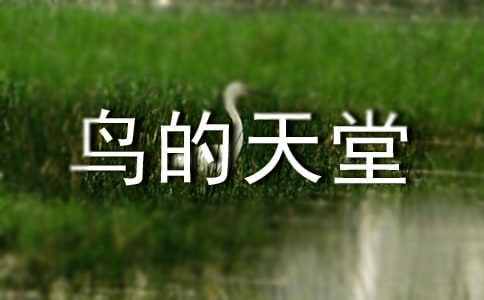�������B�������n��ԭ��