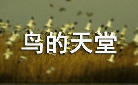 ���B�����á��Z�Ľ̌W(xu��)��˼
