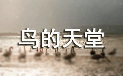 �B��������x����