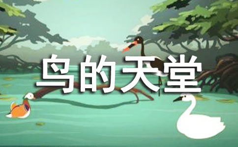�Z(y��)�ġ��B(ni��o)�����á��̌W(xu��)��˼����
