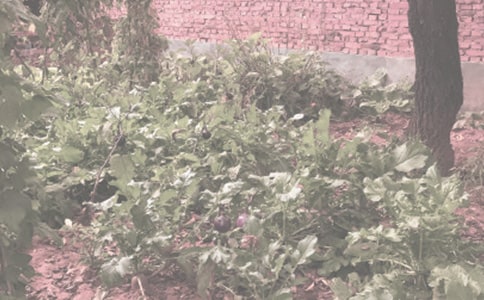 �r�����V�Z180��