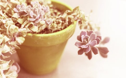 �ҵ�����Сެ�Ѱl(f��)ѿ�������ز�