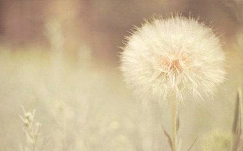 ��ϲ�g���ѹ�Ӣ���ģ����x33ƪ��