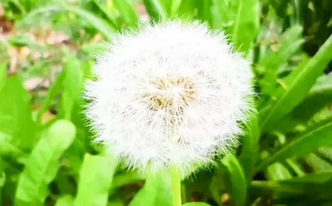 �ѹ�Ӣ��ʹ��