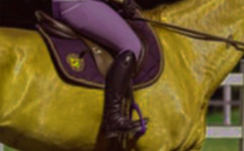 ��(n��i)�ɹŴ��ԭ�T�R����