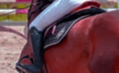 �ҌW(xu��)�����T�R��־