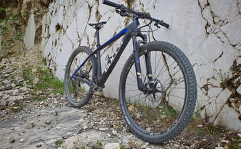 �T���������
