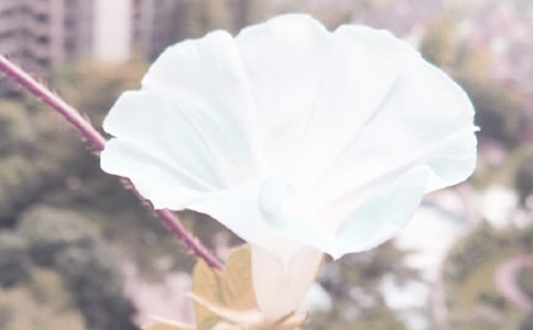 ���������꼉���ģ����x20ƪ��