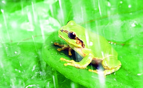 �P�����ܵ�����