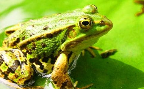�������ܵ�Ъ���Z�R��