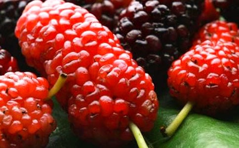 ժɣ�ض��꼉���ģ����x23ƪ��