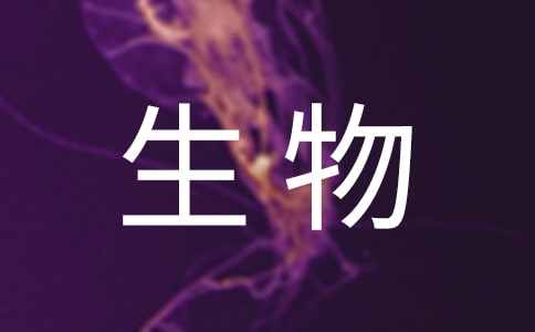 �������﹤��Ӌ(j��)��[���x]