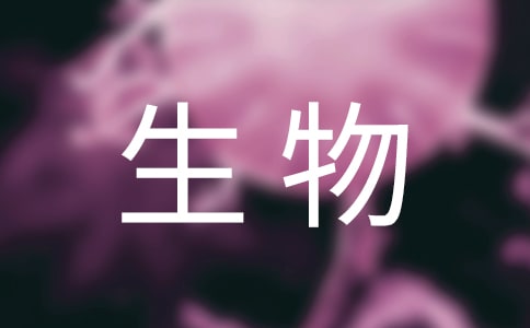 ���(sh��)�(y��n)�̌W(xu��)����Ӌ(j��)��