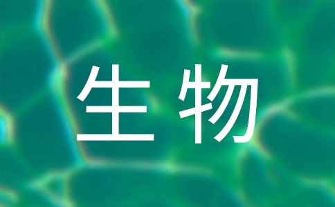 �߿���xӖ(x��n)����׌΢��������ȼ��