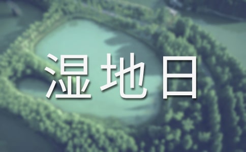 ���������ֳ���(b��o)��(n��i)��