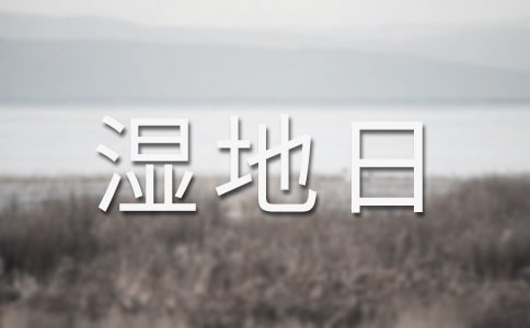���������ֳ���(b��o)����