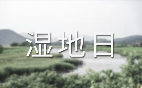 ��������������ӿ��Y(ji��)����