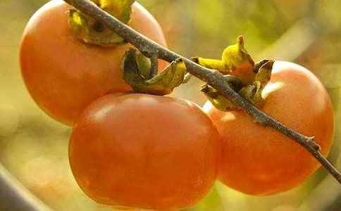 ��ѩ���ӡ�С�W(xu��)���꼉�x���