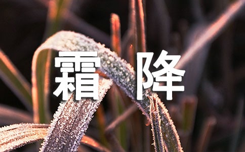 ����Ʒ��˪���ֳ����ز�