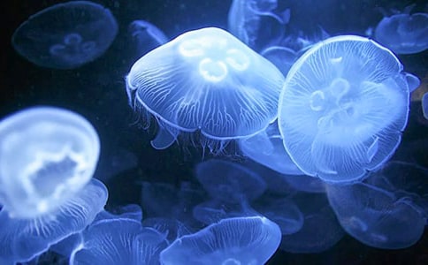 �ɐ۵�ˮĸ���꼉�������ģ����x48ƪ��