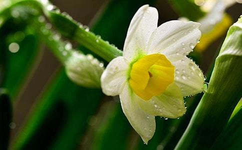 ��ˮ���ӡ����^�ٲ����p��