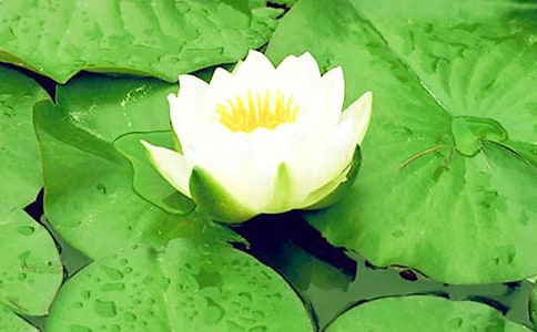 ˯ɏС�W(xu��)���꼉(j��)���ģ�ͨ��29ƪ��