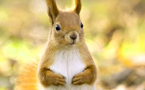 �i����������i�Z