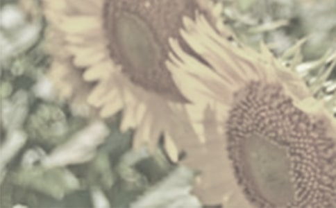 ������־����̫ꖻ�