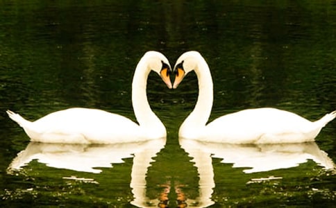 С���Z�������v�U(xi��n)ӛ��һ����