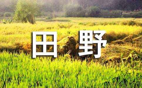 �P(gu��n)����������Ұ������
