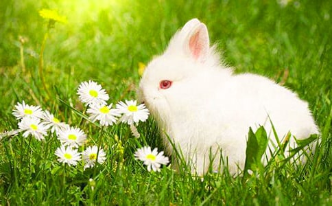 �P(gu��n)�����ӵ��i�Z���i��