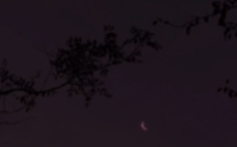 ���T����Ȧ�������Z�����x95�䣩