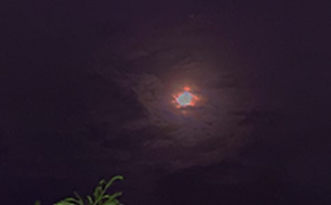 ���Â�����������75�侫�x