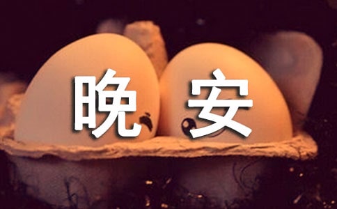 �o�����f��������Ԓ260��