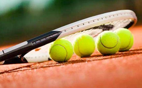 �W(w��ng)���ʢ��(hu��)���꼉(j��)����(y��u)������500�֣����x17ƪ��