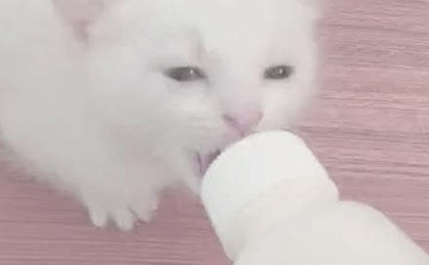 ��(m��ng)Ҋ����ι�̵���˼